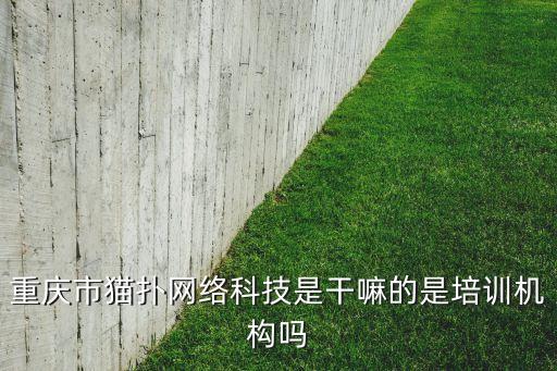 重慶貓撲智能科技怎么樣，貓撲論壇怎么樣