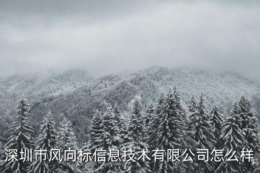 深圳市風(fēng)向標(biāo)信息技術(shù)有限公司怎么樣