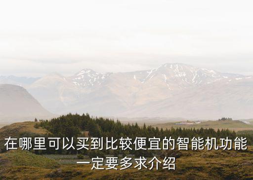 智能黑科技在哪里買便宜，在哪里可以買到比較便宜的智能機功能一定要多求介紹