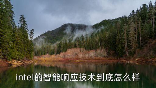 柏斯頓智能科技怎么樣，intel的智能響應技術到底怎么樣