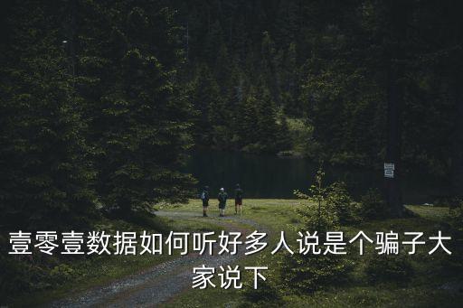 壹零壹智能科技怎么樣，壹零壹數(shù)據(jù)如何聽(tīng)好多人說(shuō)是個(gè)騙子大家說(shuō)下