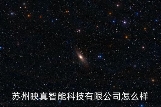 蘇州映真智能科技有限公司怎么樣
