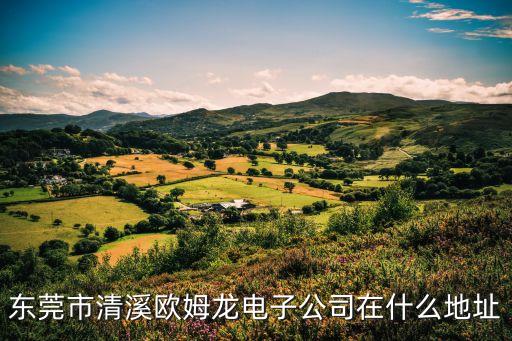 東莞市清溪歐姆龍電子公司在什么地址