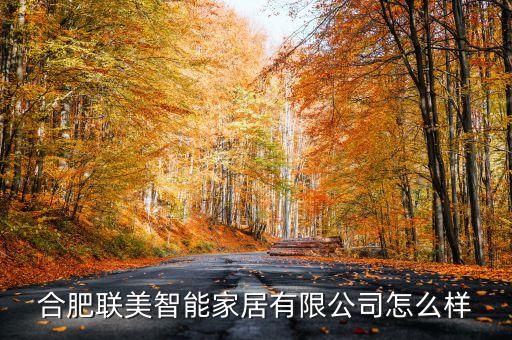 安徽協(xié)聯(lián)智能科技怎么樣，安徽合智信息技術(shù)有限公司怎么樣