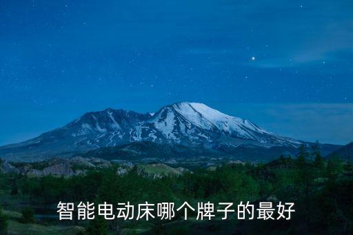 智能電動(dòng)床哪個(gè)牌子的最好