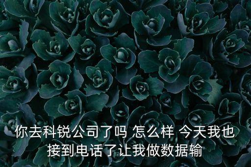 合肥科銳智能科技怎么樣，你去科銳公司了嗎 怎么樣 今天我也接到電話了讓我做數(shù)據(jù)輸