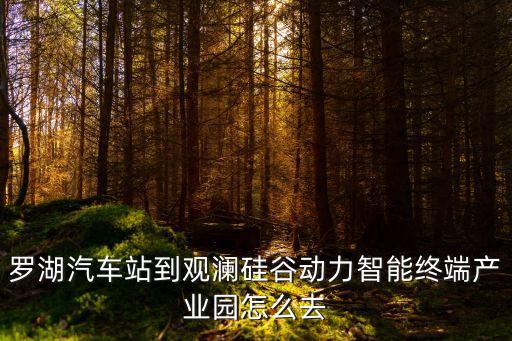 羅湖汽車站到觀瀾硅谷動(dòng)力智能終端產(chǎn)業(yè)園怎么去