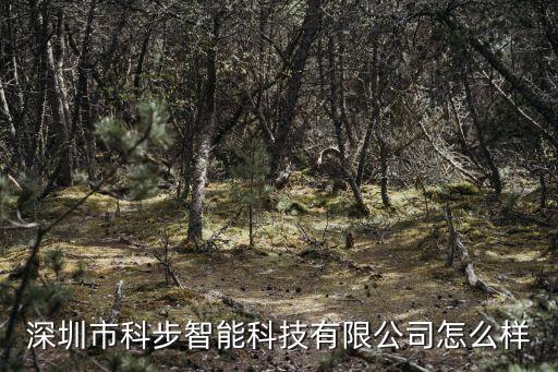 深圳市科步智能科技有限公司怎么樣