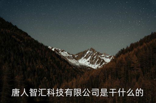 唐人智匯科技有限公司是干什么的