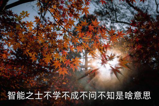 智能之士不學(xué)不成不問(wèn)不知是啥意思