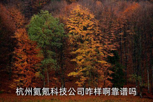 杭州氦氪科技公司咋樣啊靠譜嗎