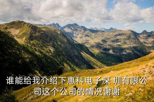 誰能給我介紹下惠科電子深 圳有限公司這個(gè)公司的情況謝謝