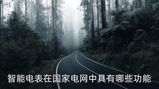 智能電表在國家電網中具有哪些功能