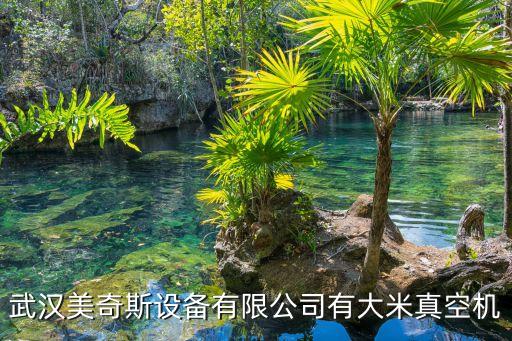 武漢美奇斯智能科技怎么樣，武漢美奇斯設(shè)備有限公司有大米真空機