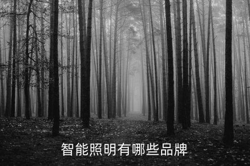 智能照明有哪些品牌