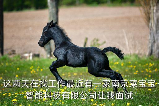 這兩天在找工作最近有一家南京菜寶寶智能科技有限公司讓我面試
