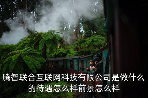 騰智聯(lián)合互聯(lián)網(wǎng)科技有限公司是做什么的待遇怎么樣前景怎么樣