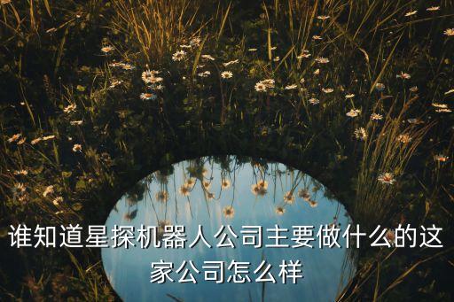 誰知道星探機器人公司主要做什么的這家公司怎么樣