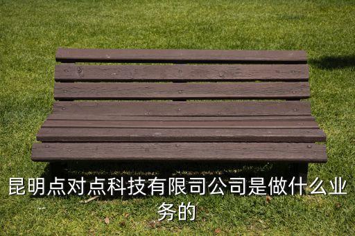 昆明點(diǎn)對(duì)點(diǎn)科技有限司公司是做什么業(yè)務(wù)的