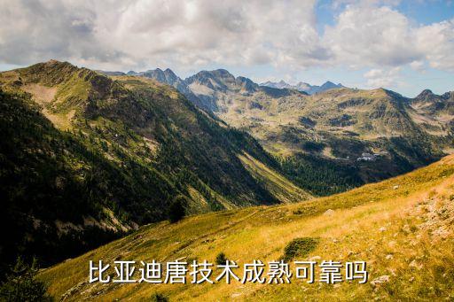 比亞迪唐技術(shù)成熟可靠嗎