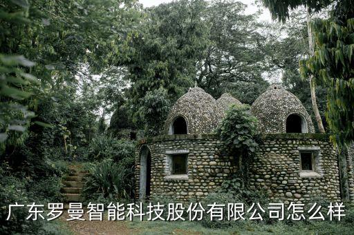 羅夯智能科技怎么樣，羅弗爾掃地機(jī)怎么樣羅弗爾掃地機(jī)好嗎