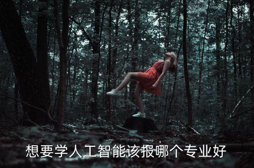想要學(xué)人工智能該報(bào)哪個(gè)專(zhuān)業(yè)好