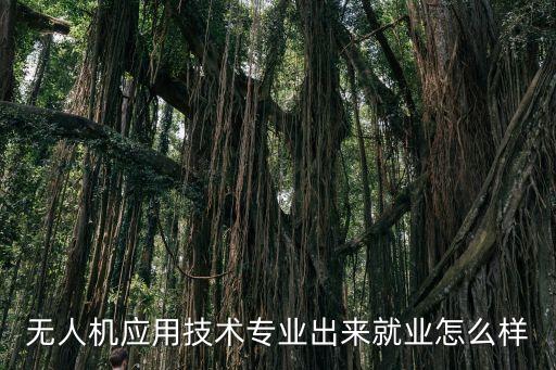 無人機應(yīng)用技術(shù)專業(yè)出來就業(yè)怎么樣