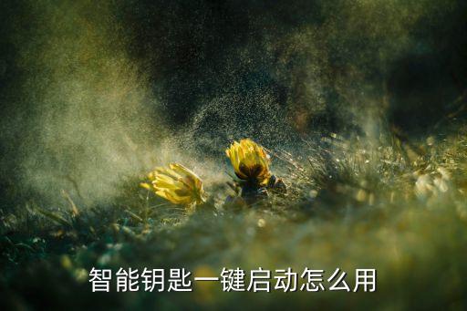 智能鑰匙一鍵啟動(dòng)怎么用