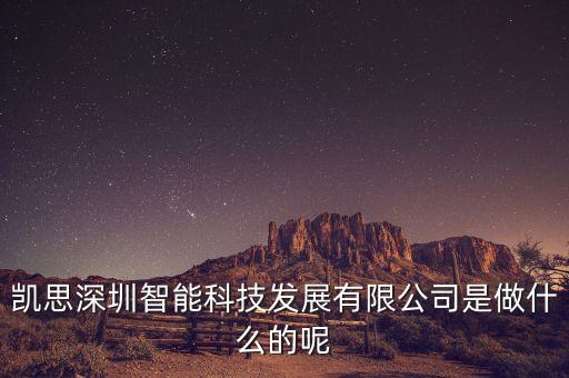 凱思深圳智能科技發(fā)展有限公司是做什么的呢