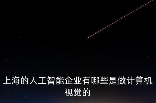 上海的人工智能企業(yè)有哪些是做計算機視覺的