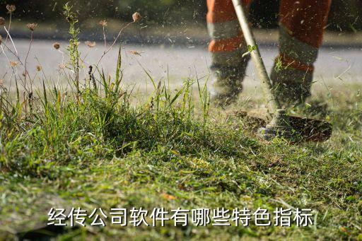 瑞多智能科技app是什么，經傳公司軟件有哪些特色指標