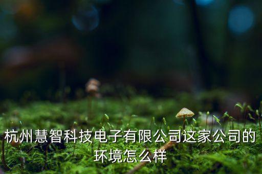 杭州慧智科技電子有限公司這家公司的環(huán)境怎么樣