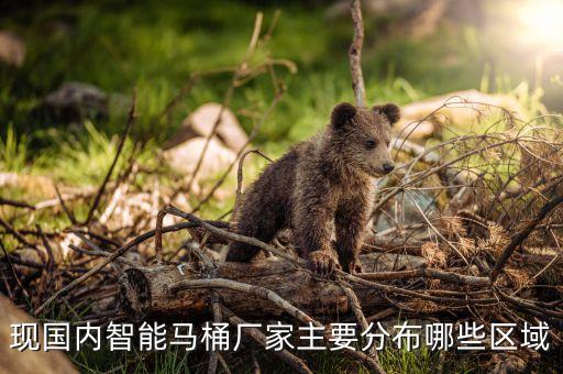 現(xiàn)國內(nèi)智能馬桶廠家主要分布哪些區(qū)域