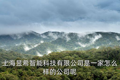 合昱達(dá)智能科技怎么樣，上海昱希智能科技有限公司是一家怎么樣的公司呢
