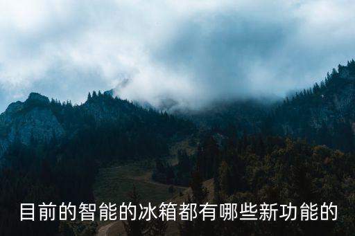 智能冰箱有哪些黑科技產(chǎn)品，美菱冰箱什么叫黑科技