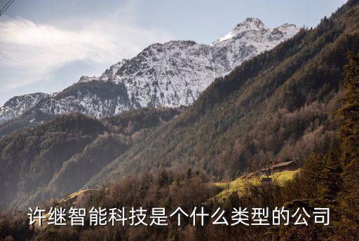許繼智能科技是個(gè)什么類型的公司