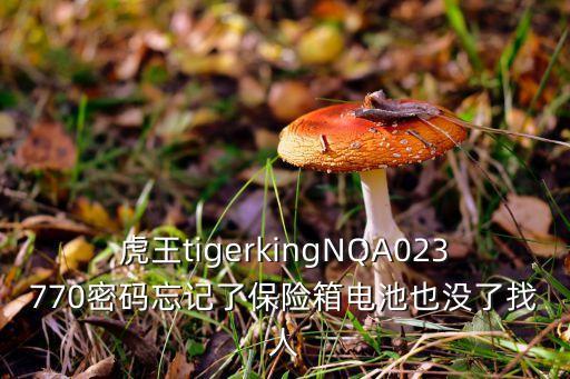 虎王tigerkingNQA023770密碼忘記了保險箱電池也沒了找人