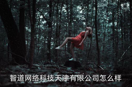 智道網(wǎng)絡(luò)科技天津有限公司怎么樣