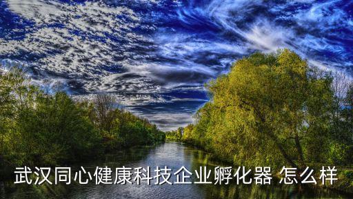 武漢同心健康科技企業(yè)孵化器 怎么樣