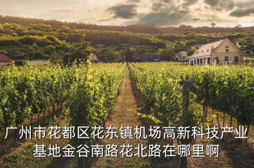 廣州市花都區(qū)花東鎮(zhèn)機(jī)場(chǎng)高新科技產(chǎn)業(yè)基地金谷南路花北路在哪里啊