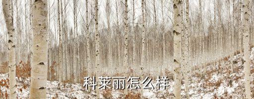 萊麗智能科技怎么樣，萊麗思這款產(chǎn)品怎么樣啊有用過的沒有我要用過的人回答