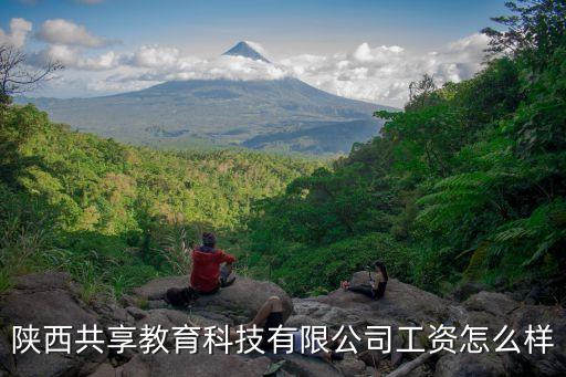 陜西公眾智能科技待遇如何，請問西安市藍(lán)田縣的普通鄉(xiāng)鎮(zhèn)科技公務(wù)員的工資情況如何