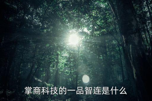 掌商科技的一品智連是什么