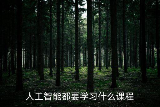 人工智能都要學(xué)習(xí)什么課程