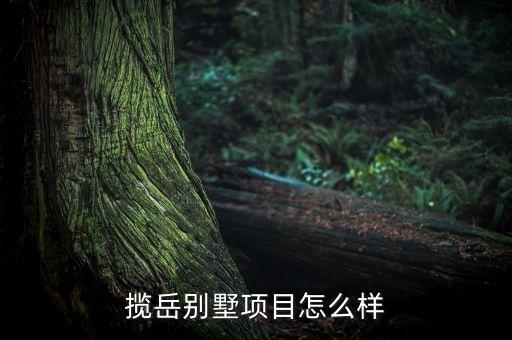 攬?jiān)绖e墅項(xiàng)目怎么樣