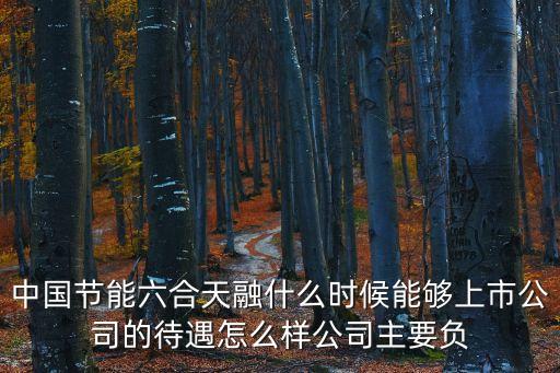 中國(guó)節(jié)能六合天融什么時(shí)候能夠上市公司的待遇怎么樣公司主要負(fù)