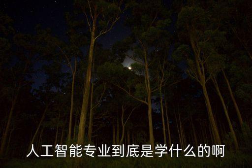人工智能專業(yè)到底是學(xué)什么的啊