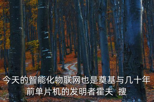 今天的智能化物聯(lián)網(wǎng)也是奠基與幾十年前單片機(jī)的發(fā)明者霍夫  搜