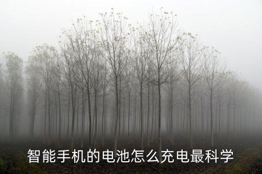 智能手機(jī)的電池怎么充電最科學(xué)