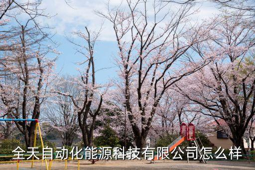 全天自動(dòng)化能源科技有限公司怎么樣